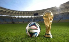 熊猫直播-以下是为您构思的文章标题与内容