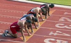 熊猫直播平台-土超新军的神秘配方，品味传奇，一口饮下蓝黑军团