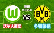 熊猫体育-关于沃尔夫斯堡果断改革，有望重返德甲强队行列的信息