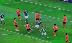 熊猫直播tv-德国队完胜印度队，李梓嘉刷新纪录