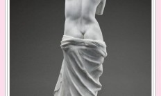 熊猫直播APP-维纳斯将在足球场上展现出自己的技术