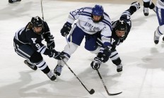 熊猫直播-王哲林38+20暴走！篮网客场险胜浙江，三外援空砍难阻内线霸主