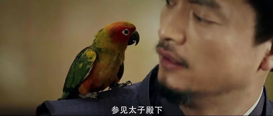 连场高潮强强对抗再掀波澜