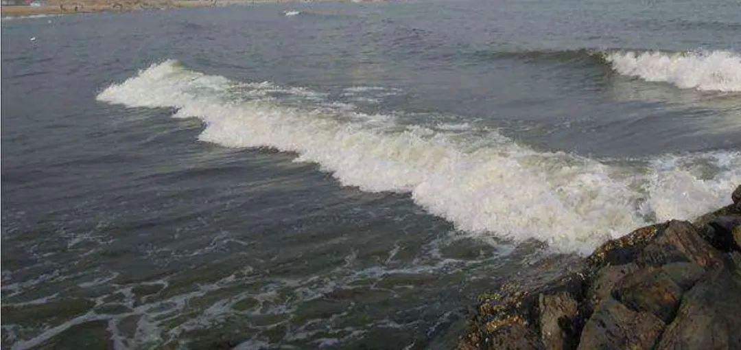 关于长江后浪推前浪，欧预赛年轻新秀抢眼！的信息