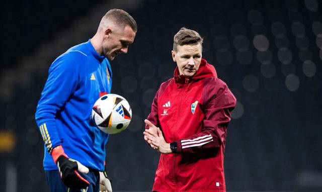 瑞典力克斯洛伐克，晋级欧洲杯八强赛