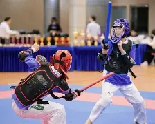 劲敌决斗：豪门争夺胜利摘桂