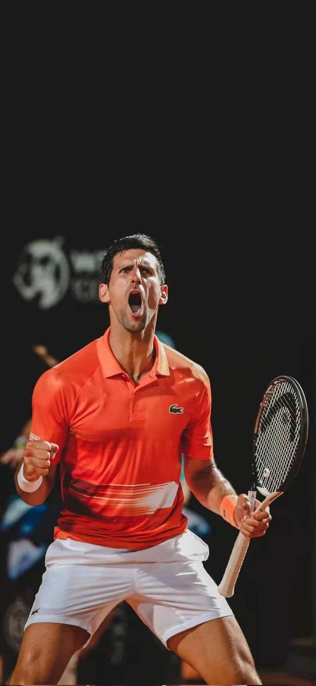 戴维斯杯鏖战法网，鲁德高光表现的简单介绍