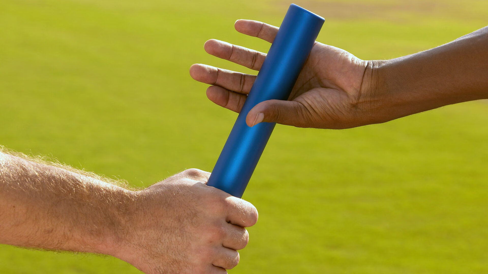 选项（任选其一）